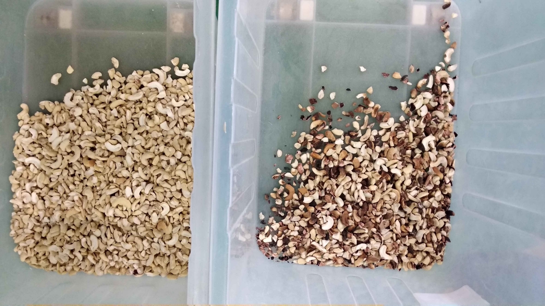 Wenyao Intelligent Chute Style Noot Shell and Kernel Separating Machine Noot Color Sorter Machine 64 kanalen
