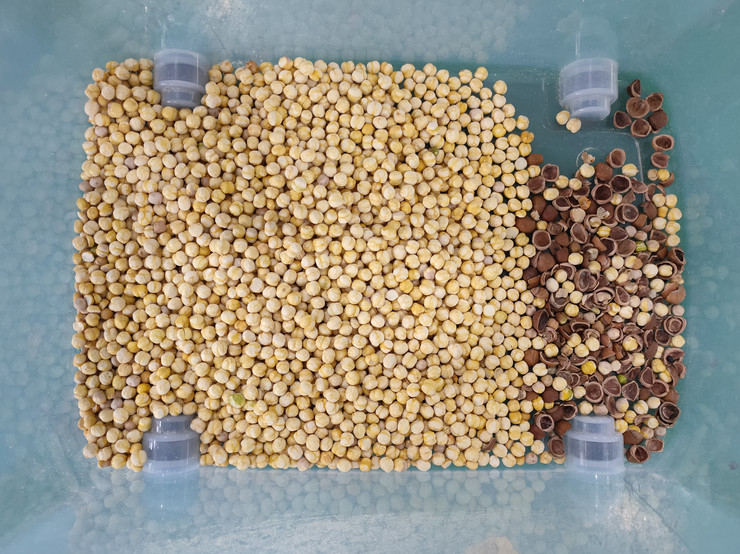 Wenyao Intelligent Chute Style Noot Shell and Kernel Separating Machine Noot Color Sorter Machine 64 kanalen