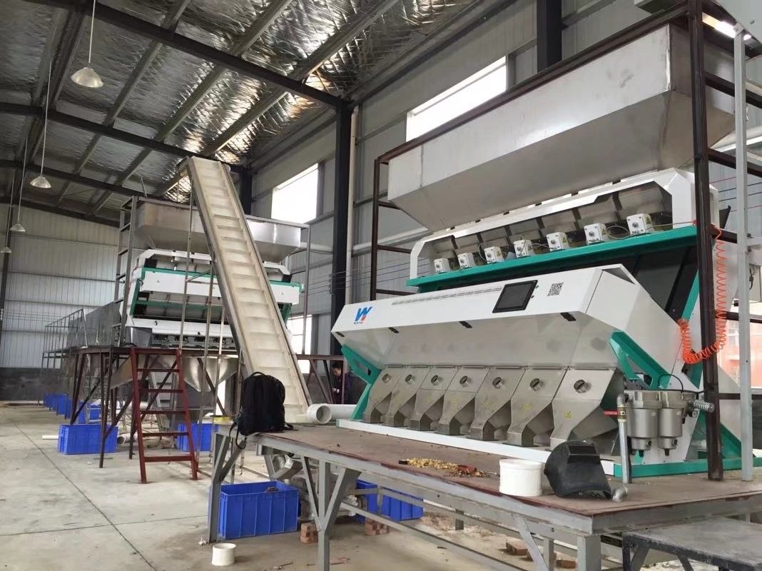 Automatische optische 7 chute stijl hoge technologie aI Roseship Seed Rapseeds Color Sorter Machine