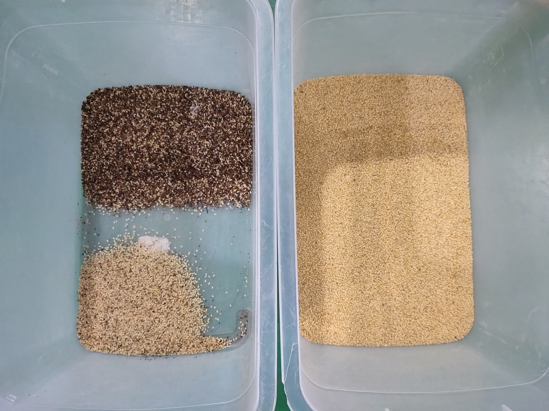 Automatische optische 7 chute stijl hoge technologie aI Roseship Seed Rapseeds Color Sorter Machine