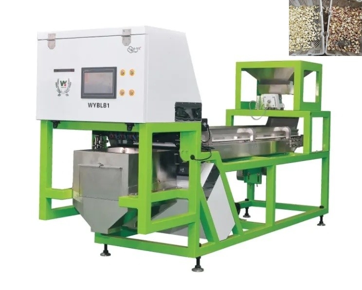 Garlic Clove Sorting Machine Garlic Color Sorter voor voedselverwerking