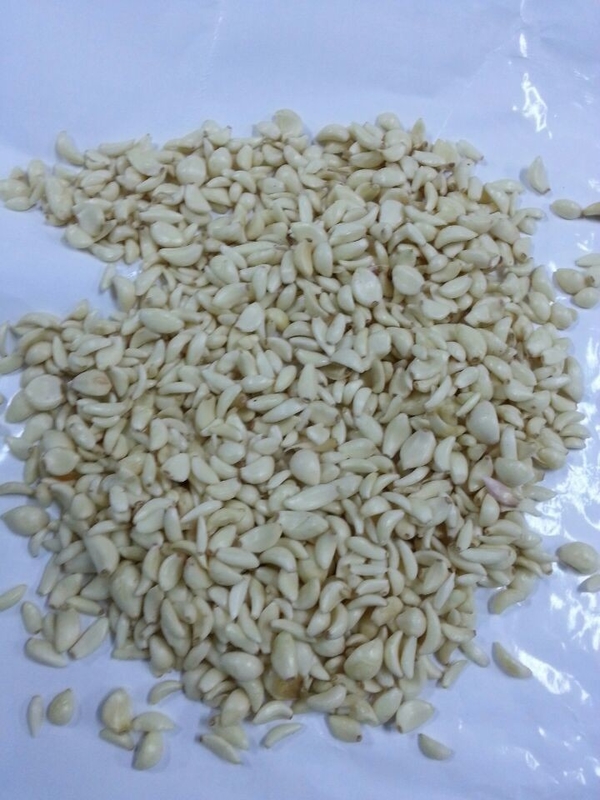 Garlic Clove Sorting Machine Garlic Color Sorter voor voedselverwerking