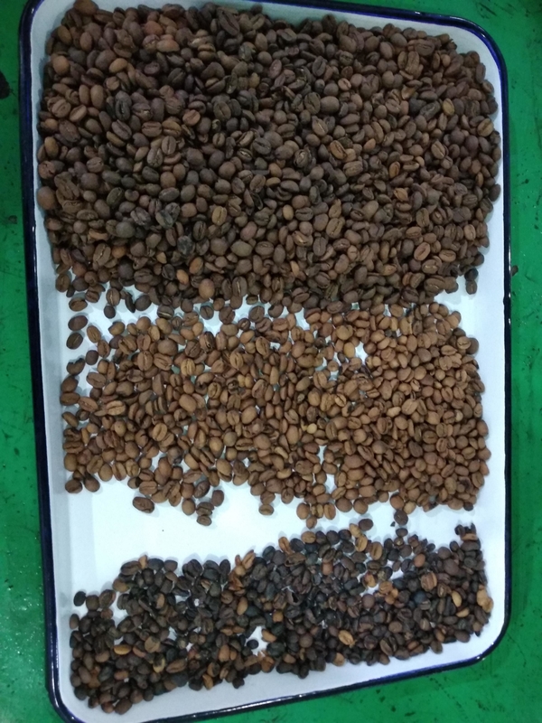 Weanyao Multifunctionele aanpasbare CCD-camera Groene en geroosterde koffiebonen Kleur sorteermachine