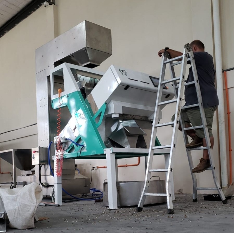 Wenyao Chinese Fabrieksprijs Volledig Automatische Rode Bonen Nierbonen Kleur Sorteren Machine