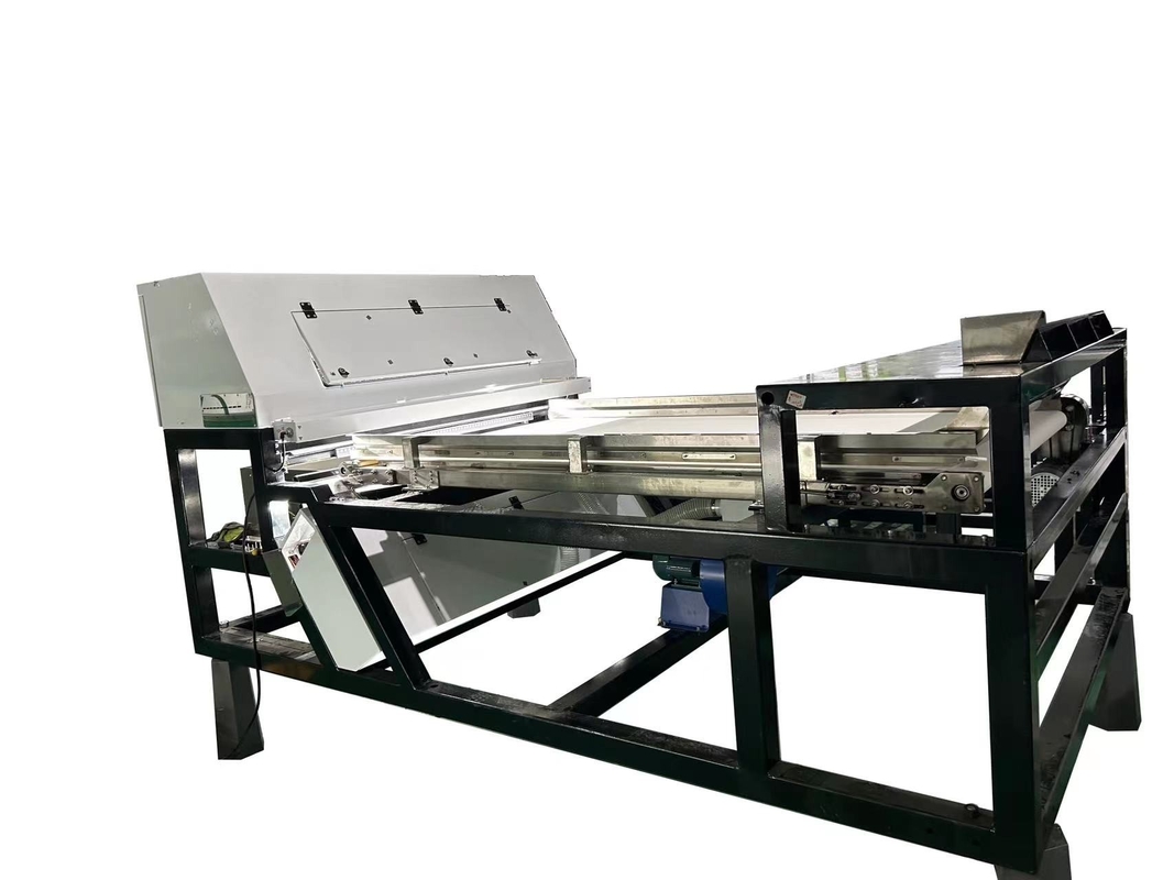 Automatisch Cashew Kleur Sorteren Proces WENYAO Kleur Sorter Cashew Noot Kleur Sorter Machine