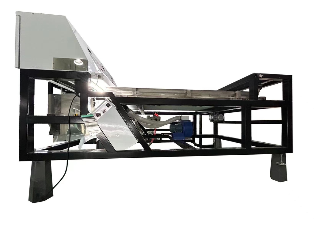 Kleuren sorteerder voor geschilde knoflook Kleuren sorteerder voor knoflook Sorteermachine Kapaciteit 1 ton/uur