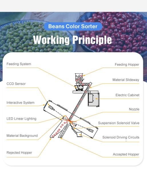 Graanverwerking Rijstkleur sorteerder Optische schacht Type