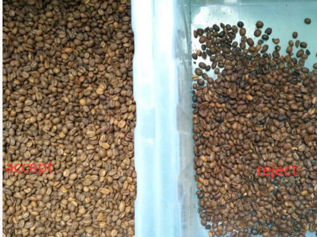 Wenyao Light Source Full Color Detection for Cocoa Beans Refining Color Sorter