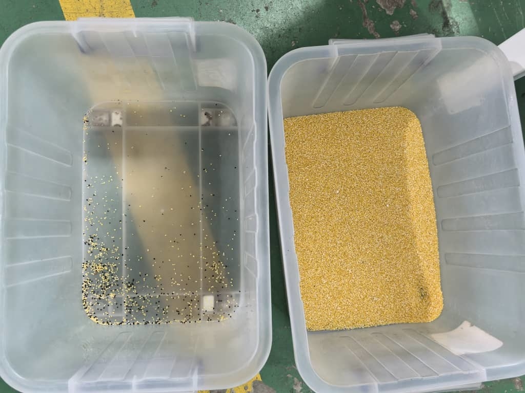 Wenyao 500-1000kg/h Mini 32 kanalen Graan optische sorteren Maïskorrels Wit Zwart Sesam Kleur Sorteren Machine
