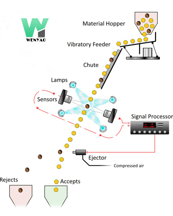 Wenyao 2 Chute 128 Kanaals Intelligente Kleursorteermachine voor Kokosgranulaat