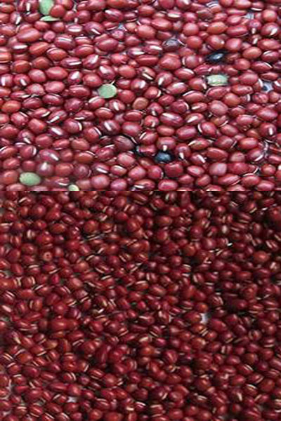 Hoge nauwkeurigheid Intelligente Nierbonen Roodbonen Optische Kleur Sorter Machine