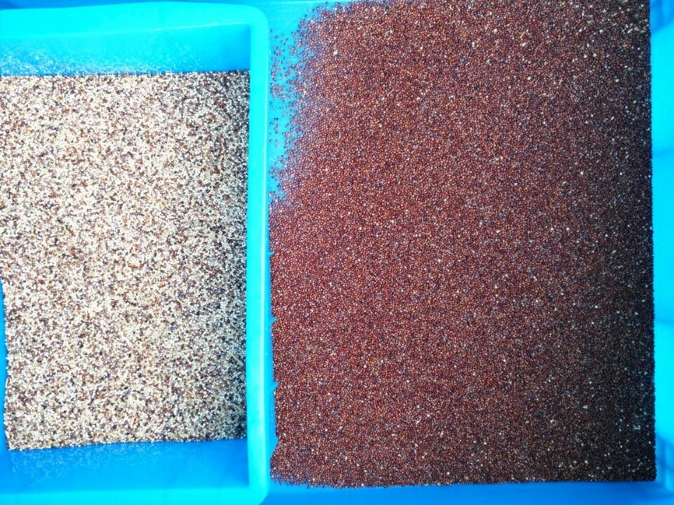 Wifi Afstandsbediening Draagbare Multifunctionele Mini Graan Quinoa Kleur Sorteermachine