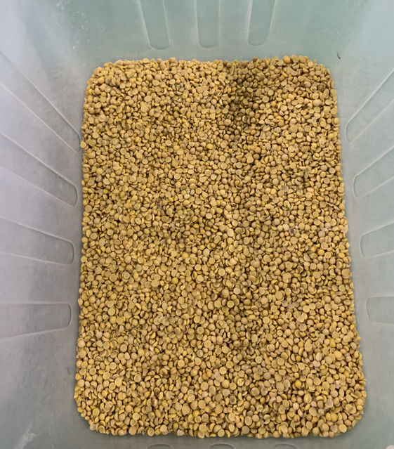 Wenyao Full Automatic 3 Chute Soja Broad Kidney Bean Kleur Sorter Machine