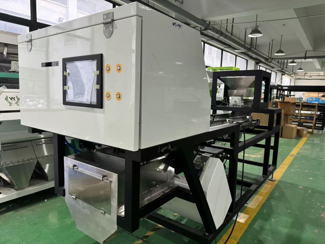CCD Camera Optische Knoflook Kleur Sorteren Schillen Knoflook Vlekken Verwijderen Machine Walnoot Knoflook Kers Koffie Kleur Sorteermachine met CE