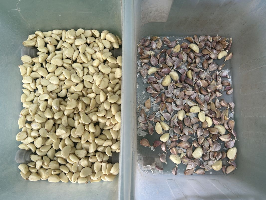 Eenvoudige werking Gordel Mineraal Erts Kleur Separator Machinery Erts Kleur Sorter