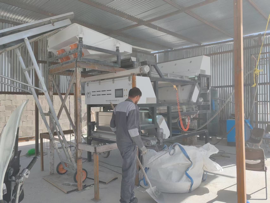Dubbellaags gebroken glazen flessen CCD kleuren sorteermachine voor glas
