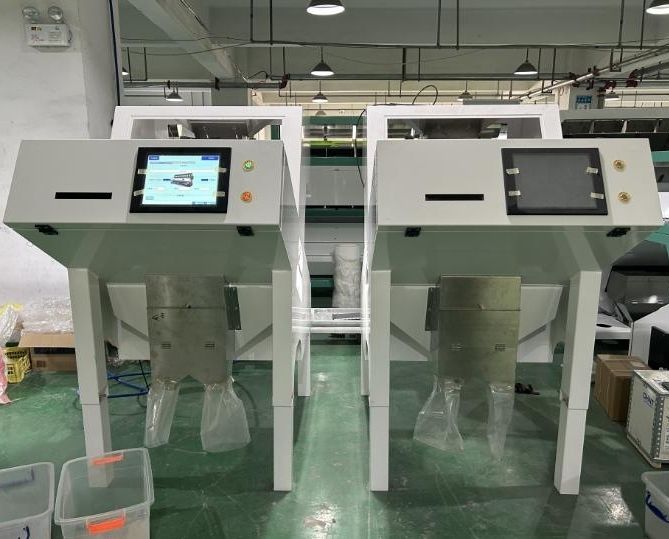 Accuracy CCD Camera Automatische Macadamia Noot Kleur Sorteren Machine