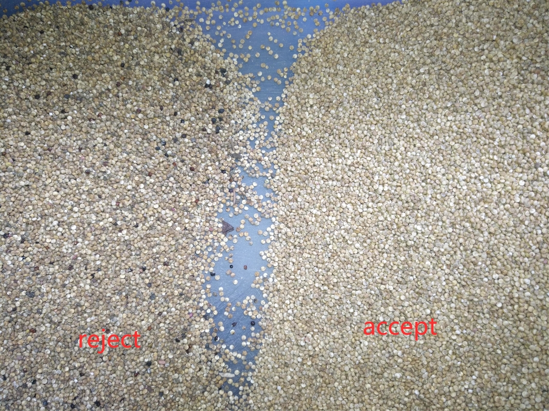 2000 kg/u Peru Quinoa Optische Sorteerder Volledige Kleur CCD Sorteermachine Sorteermachine voor Andes Granen