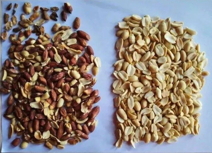 Wenyao Multi-van de de Camerakleur van de functie de Volledige Kleur CCD van de de Sorteermachineamandel Sorteerder van de de Nootkleur