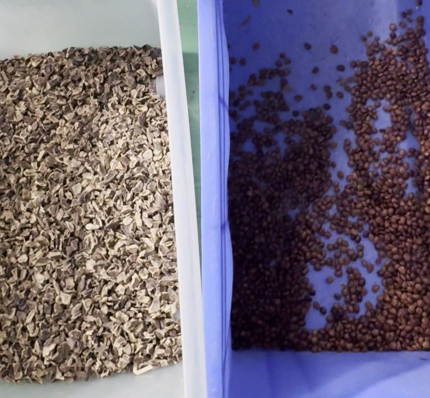 Wenyao Dubbele Riem High Technology Intelligente CCD Camera Zeepbes Kleursorteermachine