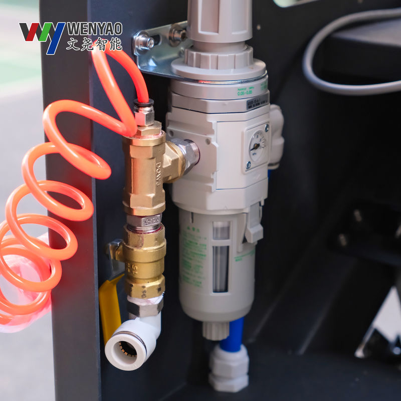 Kidney Nuts Belt Color Sorter with Low Damage Rate