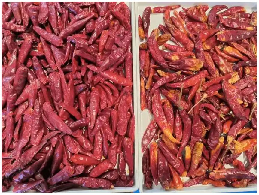 Goedkope optische intelligente visie Chili sorteren machine Minerale steenkool brandstof kleur sorteren