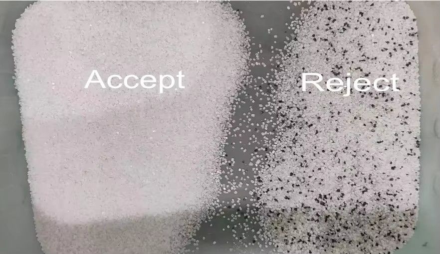 Weanyao 10 Chute Grote capaciteit 304 316 roestvrij staal Intelligente kleur sorteermachine voor zout