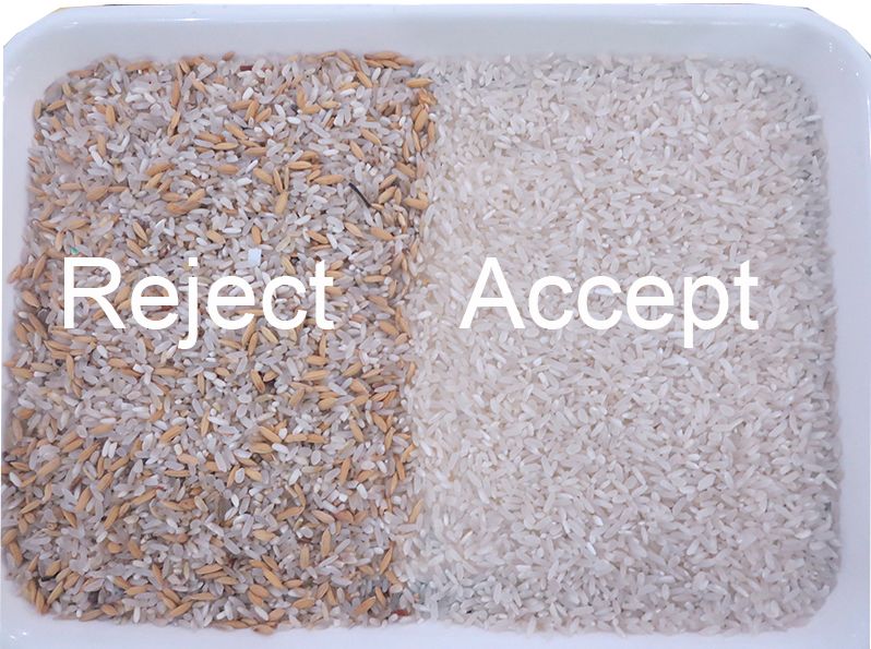 Multi van de de Kleurensorteerder van de Doelccd Automatische Rijst de Korrelsai Sorteermachine