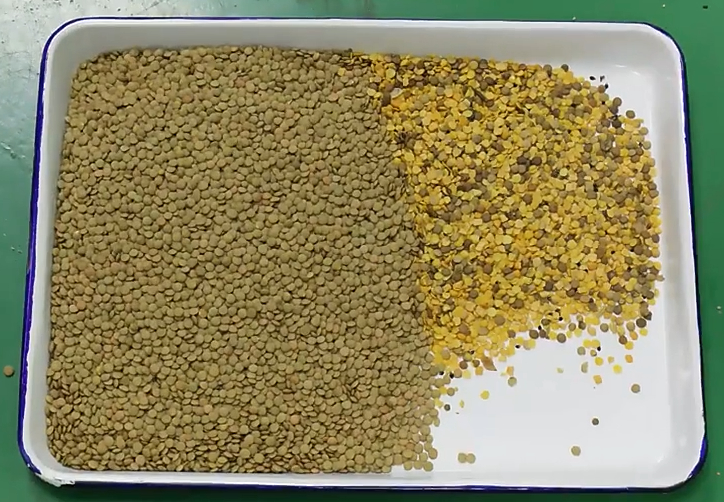 Wenyao 3 Chute 192 Channel White Black Beans Color Sorter Ccd High-precision Full-automatic Nut Rice Corn Wheat Color Sorter