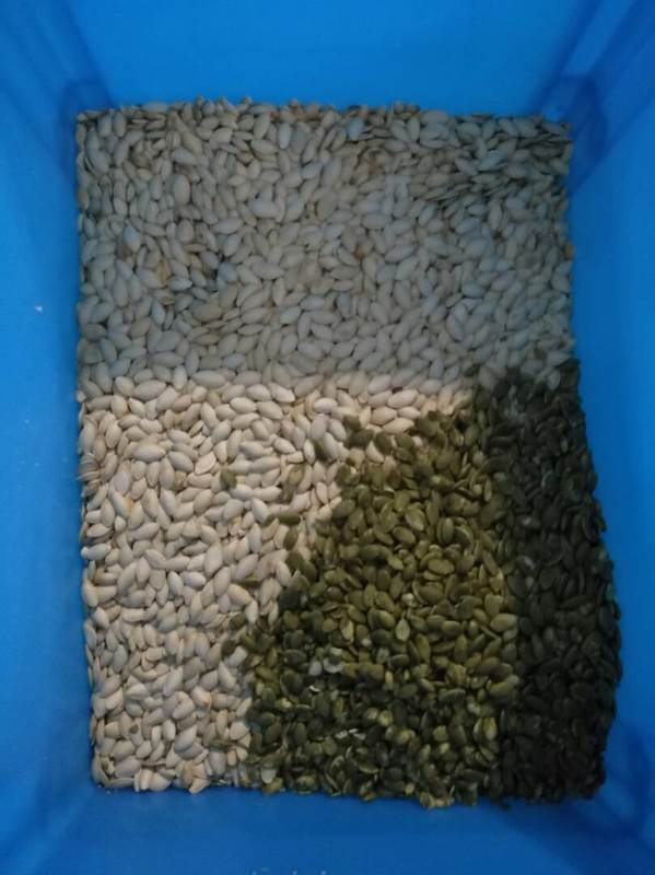 Wenyao Wifi Afstandsbediening Zonnebloempit Pompoenpit Kleursorteerder met 2 Jaar Garantie en Magneetventiel voor Industriële Verwerking