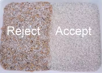 Multifunktioneel Noten Cashew Noten Pinda's Walnoten Hazelnoten Kleur Sorter Pinda's Hazelnoten Kleur Separator