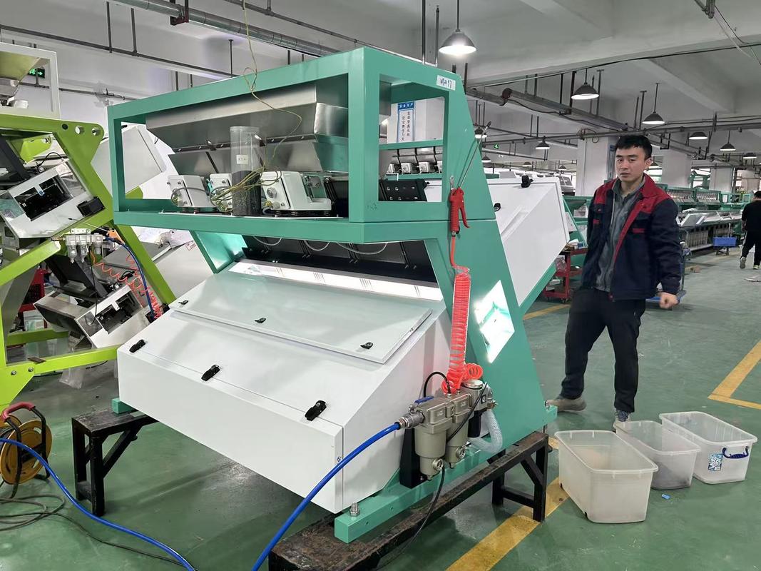 Wenyao Hoge Capaciteit Maïs Tarwe Paardeboon Tuinboon Kleur Sorteermachine