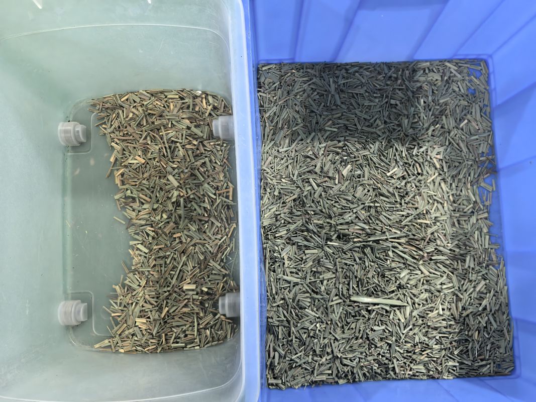 WENYAO CCD Spice Color Sorter Optische Lemongrass Kleur Sorteren Machine met Factory Prijs