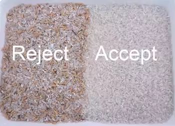 Walnoten Bonen Kleur Sorteermachine Amandelen Pinda's Scheidingsmachine Verwijder Slechte Beschimmelde