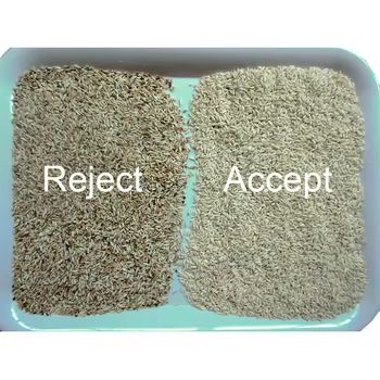 Walnoten Bonen Kleur Sorteermachine Amandelen Pinda's Scheidingsmachine Verwijder Slechte Beschimmelde