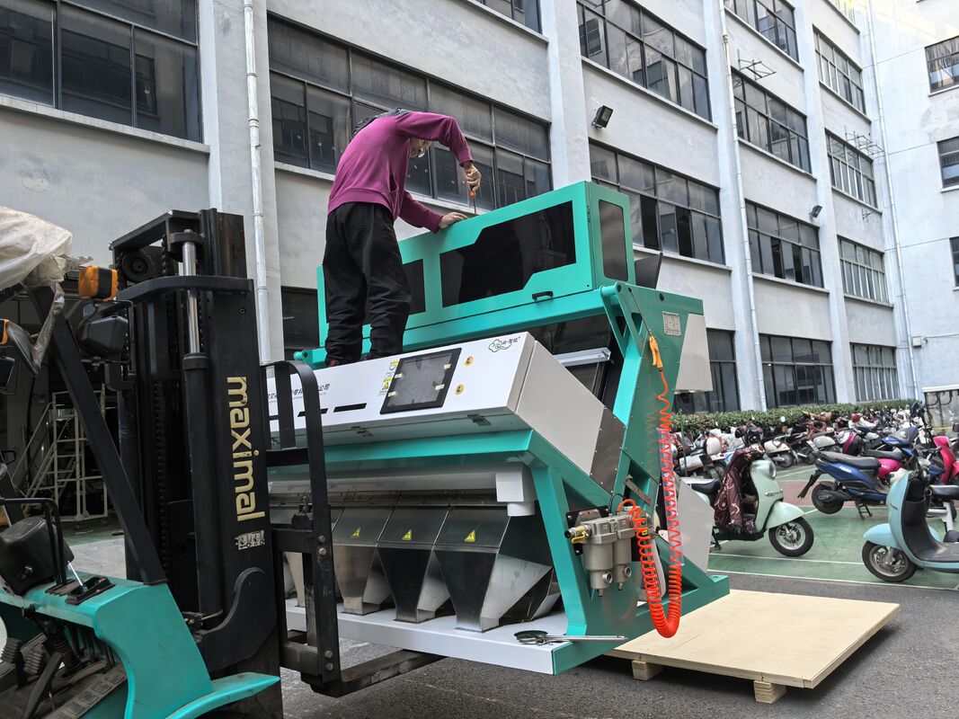 Wenyao Amandel Kleur Sorteren Machine Tarwe Kleur Sorteren Noten Kleur Sorteren Machine
