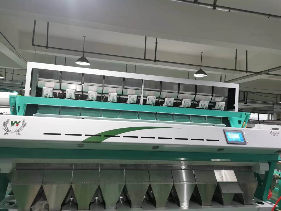 Wenyao Sea Buckthorn Ai Kleur Sorter Machine Fruit Sortering Rode bonen Walnoot Kernel Basmati Rijst Linzen Koffie Zaden Kleur