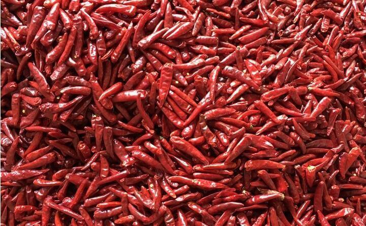 Wenyao Zware Intelligent Kleuren sorteermachine met RGB CCD Camera voor Chilipeper en Knoflook Sortering en 1000-1500 kg/u Output met Wifi Afstandsbediening