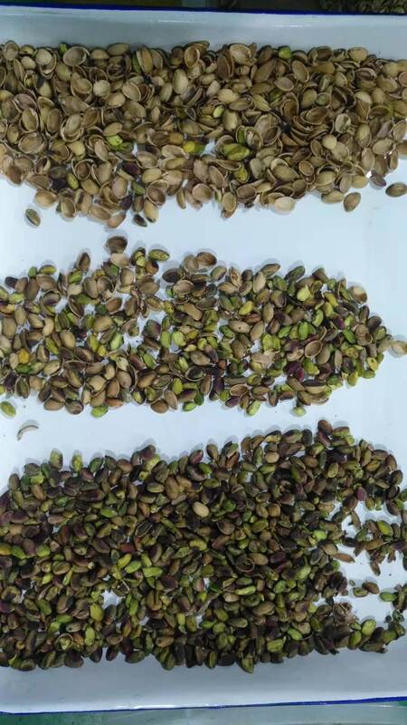 Wenyao Automatic Nut Sorter met TOSHIBA CCD Sensor, roestvrij 304 Food Grade Hopper en Wifi afstandsbediening voor efficiënte noot sortering