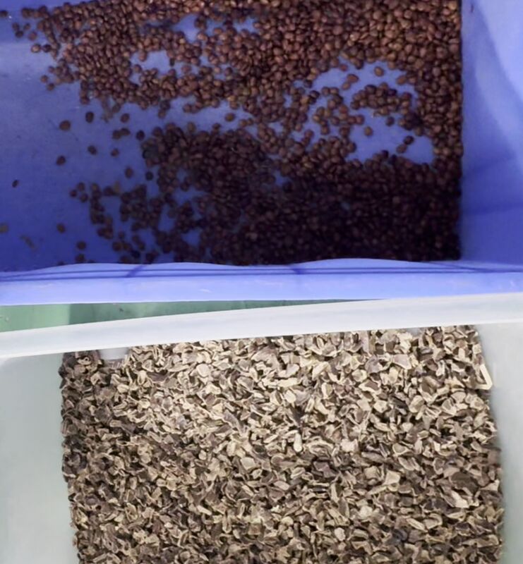 Wenyao 2025 High Precision Nieuwste Intelligente Dubbele Gordel Kleur Zeep Pod Kleur Sorter Machine met WIFI afstandsbediening