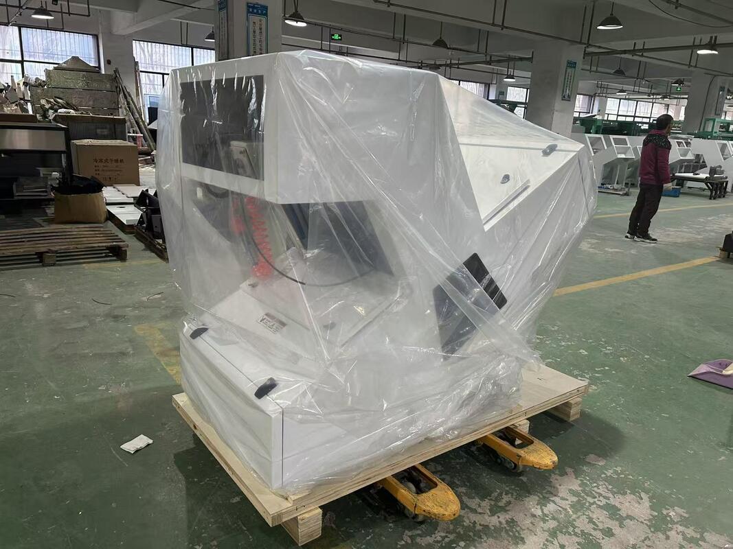 WENYAO 1 Chute Optische Kleursorteermachine voor Uitgedroogde Gedroogde Kastanjes