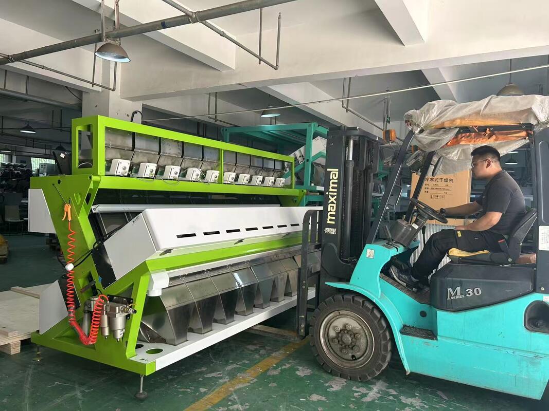 Optical 10 Chutes Wheat Colour Sorting Machine for Wheat Barley Color Sorter in Grain Processing Line