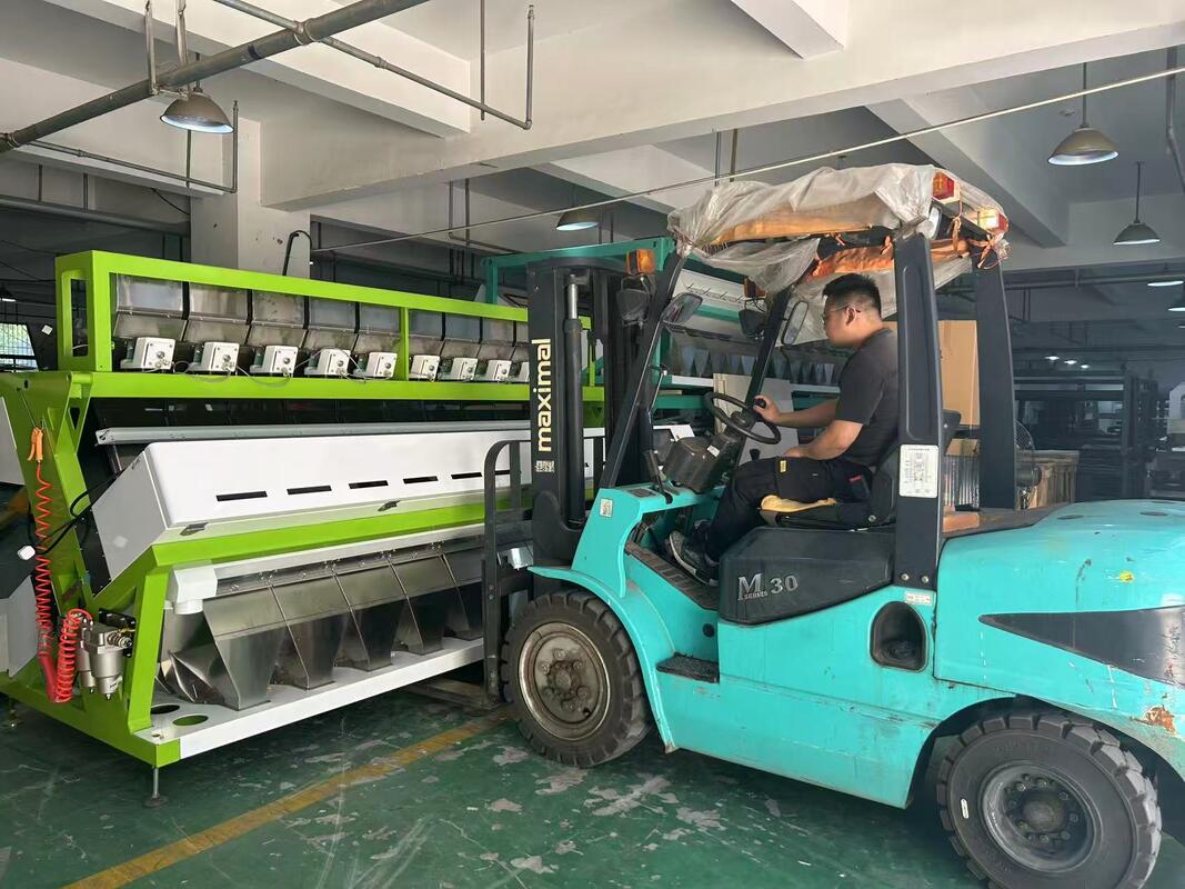 Optical 10 Chutes Wheat Colour Sorting Machine for Wheat Barley Color Sorter in Grain Processing Line