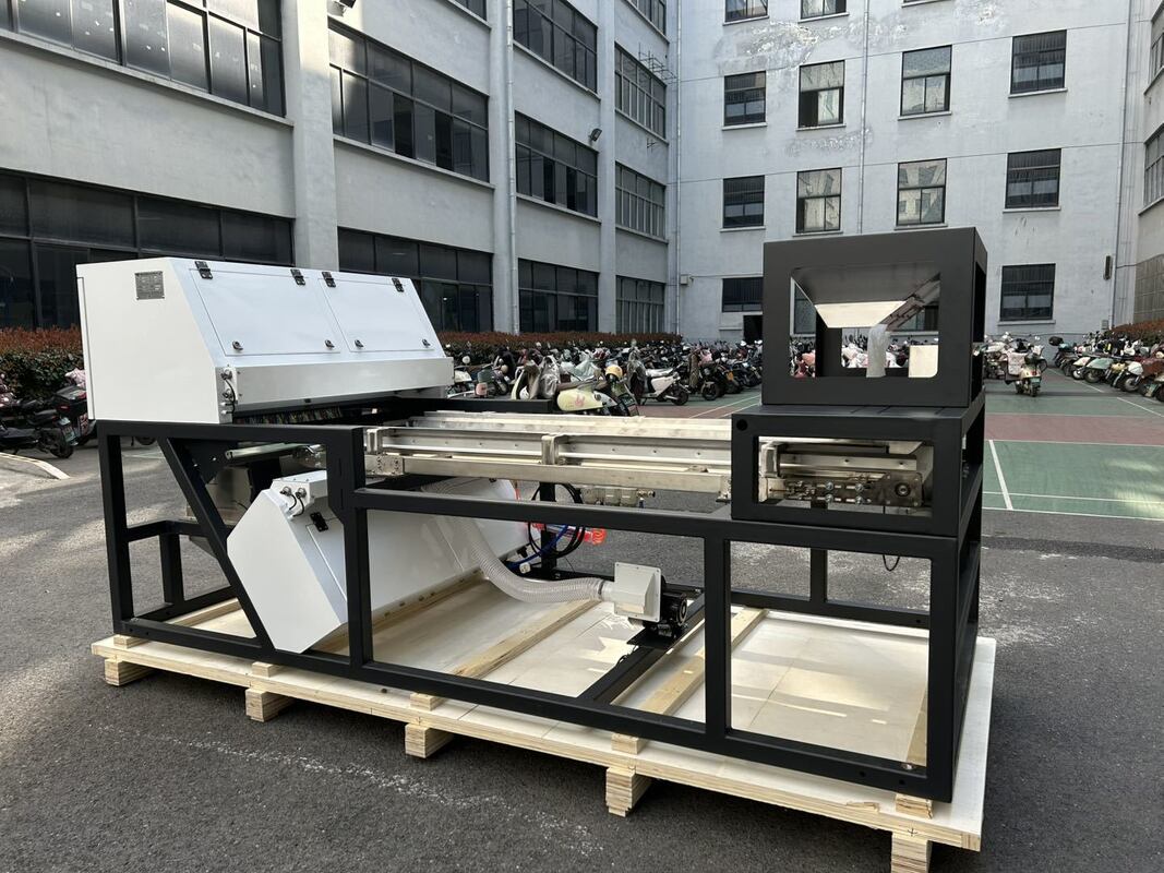 600 mm Gordelbreedte Hoogkapasiteit Juniper Kleur Sorter Gedroogde Framboos Blueberry Graan Kleur Sorteren Machine