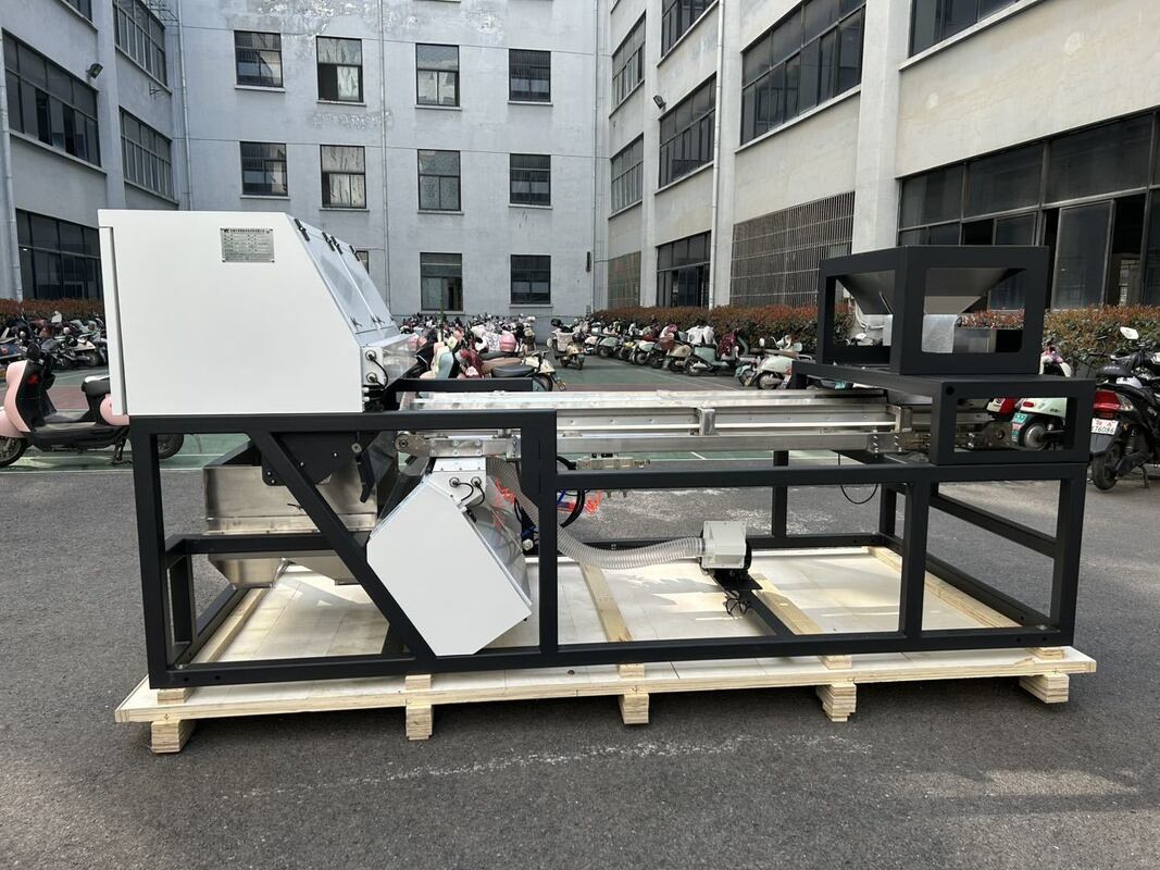 600 mm Gordelbreedte Hoogkapasiteit Juniper Kleur Sorter Gedroogde Framboos Blueberry Graan Kleur Sorteren Machine