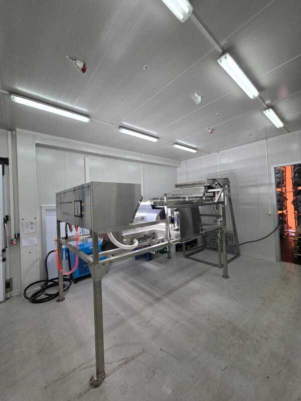 1200mm Belt Width High Capacity Juniper Color Sorter with 99.99% Precision