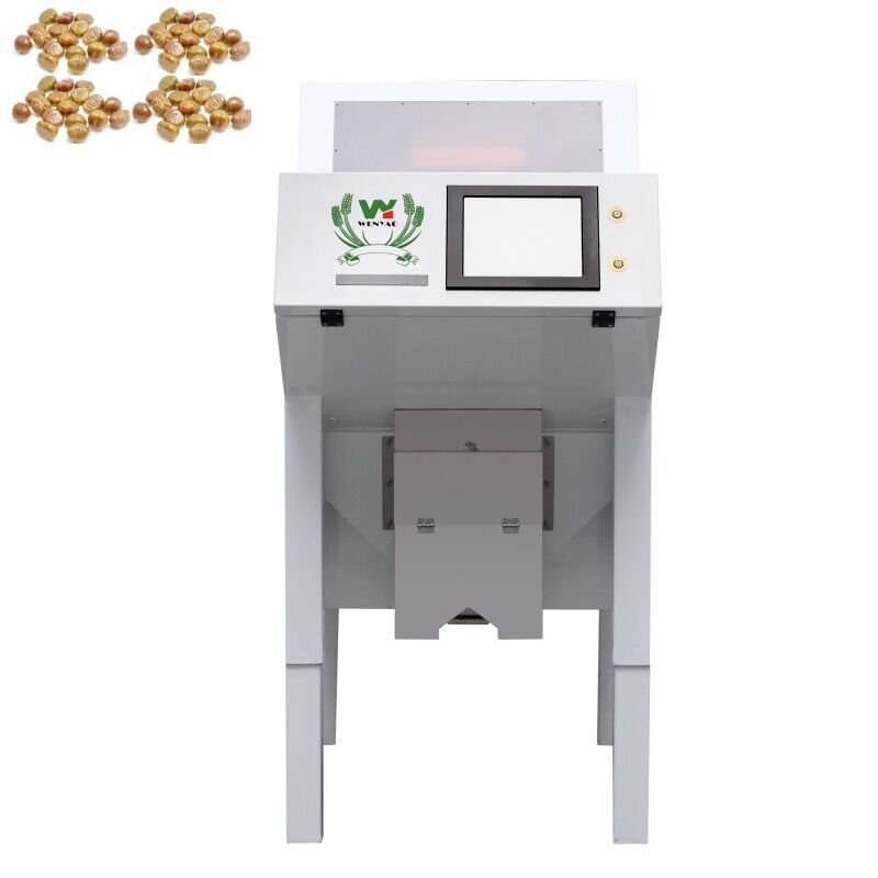 WENYAO 1 Chute Optische Kleursorteermachine voor Uitgedroogde Gedroogde Kastanjes