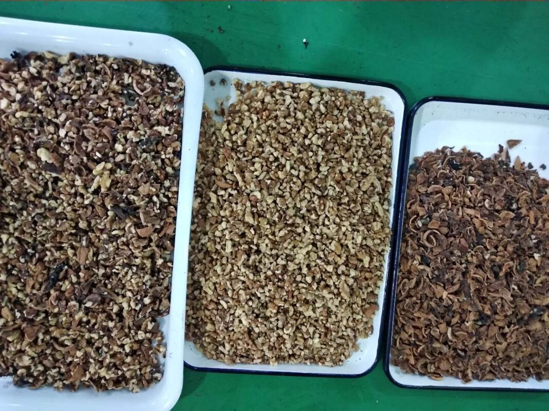 Wenyao Professional Nuts Separation Machine Cashew Nut Walnut Areca Nut Color Sorter Machine met WIFI afstandsbediening