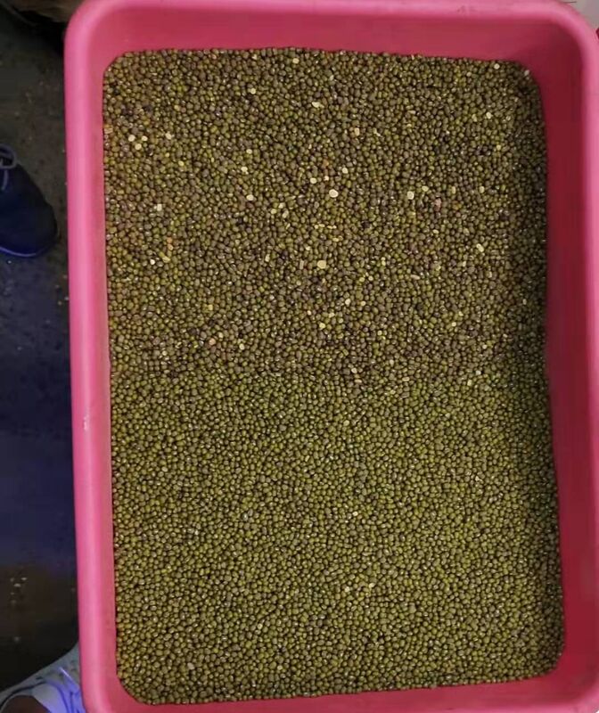 WENYAO 8-kanaals pulsen sorteermachine voor linzen, kikkererwten, optische bonen kleursorteerder te koop