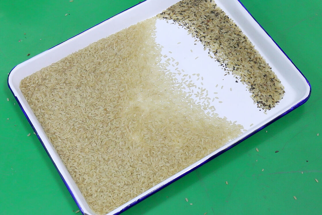 WENYAO Advanced Rice Processing Color Sorter Machine Engine ISO9001/CE Certified 10 Chutes Low Noise 10000kg/h Capacity